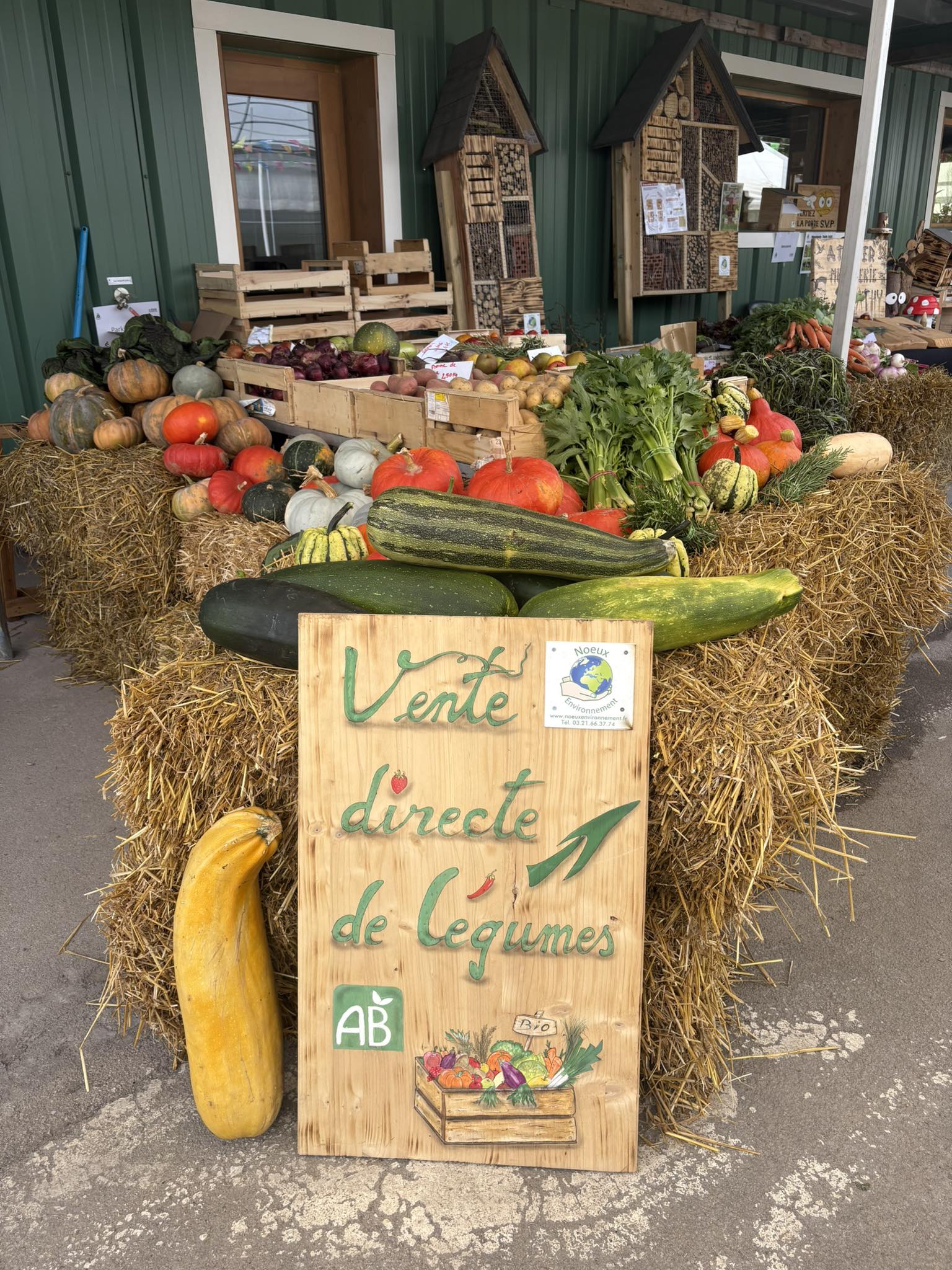 Panier de légumes
