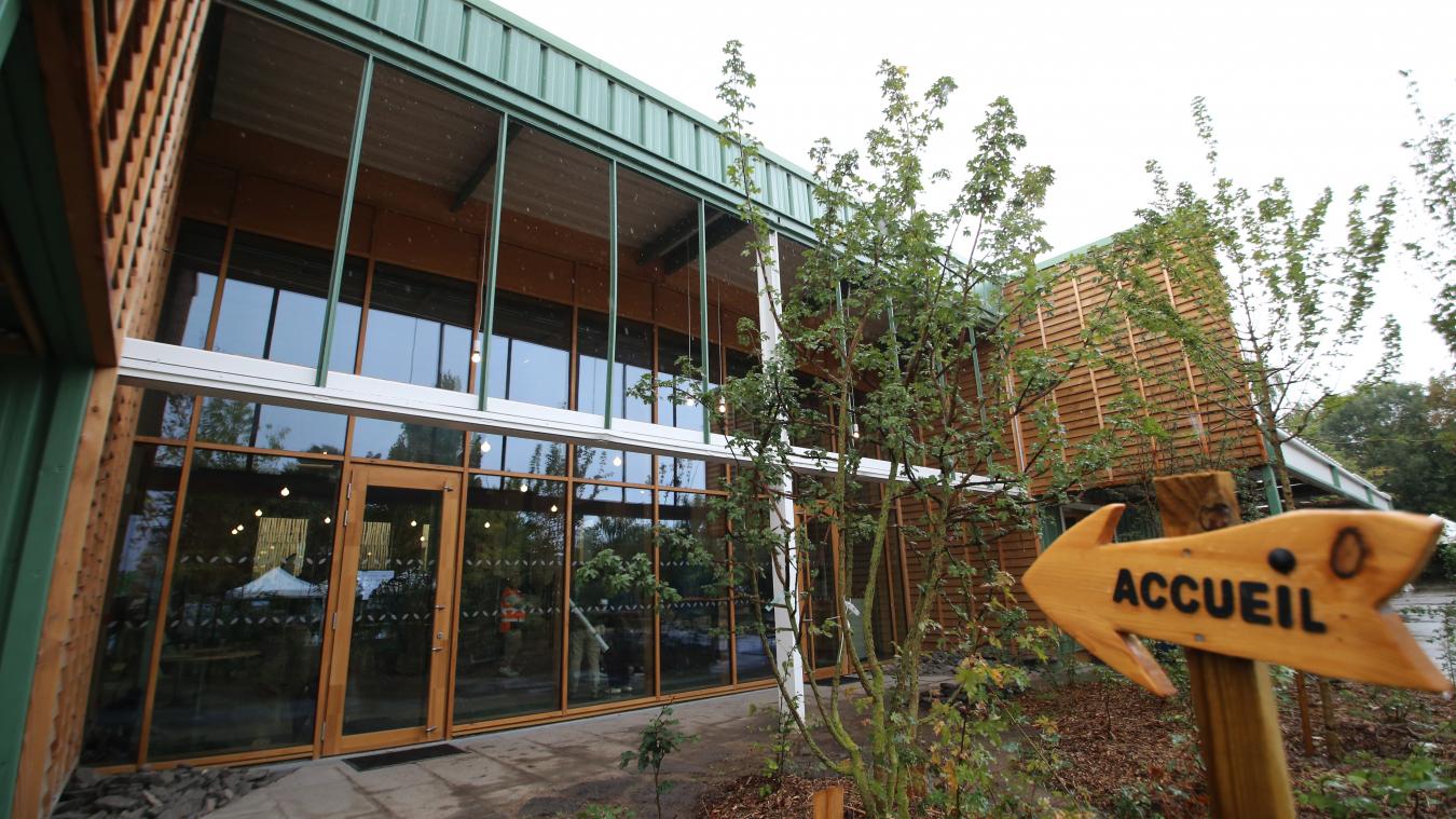 Transformation du site